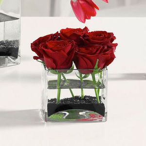 Roses in Glass Cube in Gap PA, Fuller's Floral & Gift Shoppe